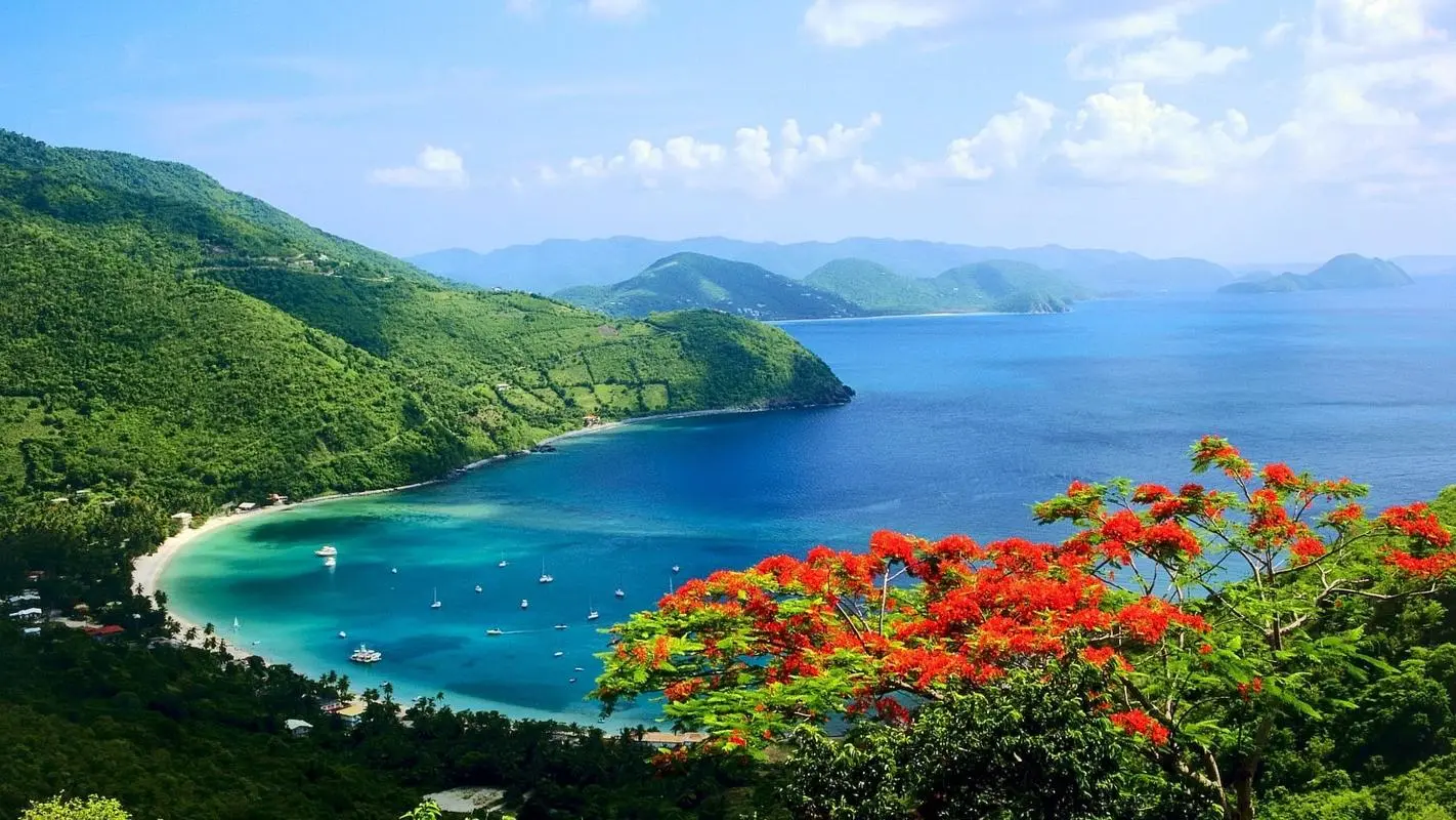 高效信息化